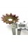Звезда задняя передняя цепь 520-42T Viper V250VXR GEON X-Road 200-250  Shineray XY250GY-6B