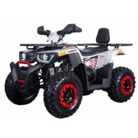 Передний пластик крылья квадроцикла ATV Spark Forte Braves 200 New