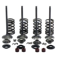 Клапаны впуск выпуск для квадроцикла ATV/UTV CFMoto CF500, UForce 500, X5, U5
