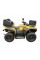 Кофр квадроцикла ATV ящик на задний багажник BOX 8050
