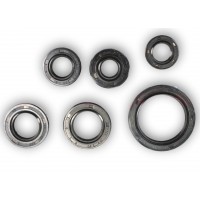 Сальник двигателя 70cc к-кт 6шт (18,9*30*5;13,7*24*5;11,6*24*10;17*29*5;12*21*4; 30*42*4,5)