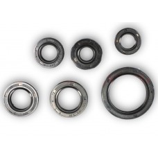 Сальник двигателя 70cc к-кт 6шт (18,9*30*5; 13,7*24*5; 11,6*24*10; 17*29*5; 12*21*4; 30*42*4,5)