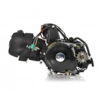 Двигатель для квадроцикла ATV 125 куб автомат 3 передачи + 1 задняя 1P54FMI