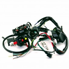 Электропроводка в сборе для квадроцикла ATV 110–125 см³ (генератор, реле, блок управления, замок зажигания)