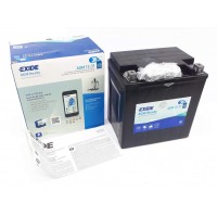 Аккумулятор залитый и заряженный AGM 30Ah 430A EXIDE SLA12-31 = AGM12-31