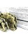 Цепь трансмиссии усиленная 525H 120L GOLD DID