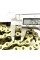 Цепь трансмиссии усиленная 525H 120L GOLD DID